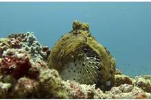 5c04e87195a597063b8b4609