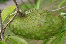 5c013b02d43750af3a8b45ad