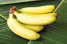 5bfe7079d43750ef568b45e4 (1)