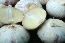 5bffcd59d4375069588b4575