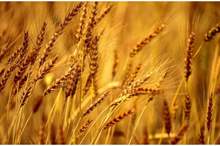 f5af11f18d6cdcff93ec5b7de1a944dc