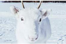 5c0796a5d43750e8598b45ce