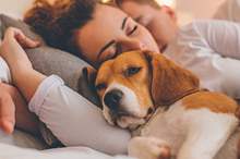 blog-should-sleep-with-dog