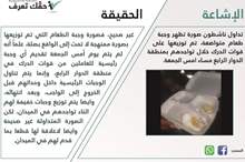 615df44e1eef85f6adf5e88378f051c9