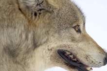 5c07f4f0d43750d5338b4588