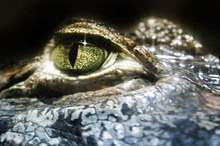 5c0909dd95a597b16e8b4567