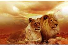 5c08e78995a59793568b45b6