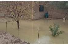 900x450_uploads,2018,12,ec0182e95d