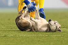 News-P-415077-636797923945479210