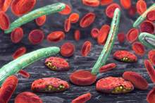 1353860c-e9ee-4193-9a5b-131e6ea2a427_16x9_1200x676