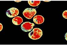 5c5c15d7d43750dc2c8b4622