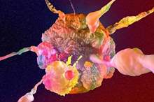 5c5d534a95a597d32e8b45bd