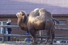 5c5d965dd43750993b8b4603