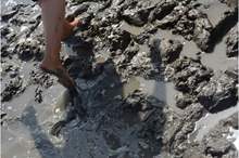 Dead-Sea-mud-feet
