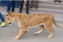 44b7be56-ad1c-4c3c-8e75-7edd7de1f61e_16x9_1200x676