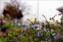 120192515176798564391