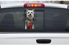 5c614d33d43750912a8b45da