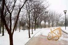 2201910135210416494844