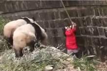 News-P-426871-636854975828386781