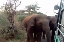 5c62987bd43750a6498b4579