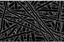 5c62a793d437509e498b45b5