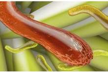 5c62691a95a597736c8b45cc