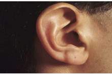 5c62932895a597e3308b4578