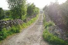 6a03b5189c849137af18575af0376b58391ab272