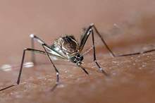 5c640381d4375004208b4627