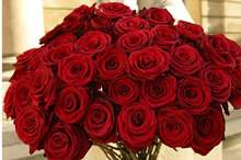 f3393978debb79f49e5ea5993053c4bf