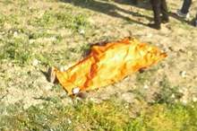 51899616_10215206356886923_8542902565510053888_o