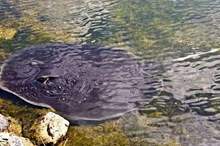 5c6411c995a597a92f8b45aa