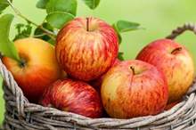 Doc-P-557162-636859331696452740