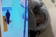 61084a004e30b39a56a148ddb1181d7e