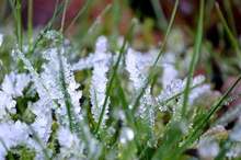 12201813143421584275045