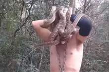 5c6a66ed95a597913b8b458e