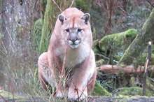 5c6a983a95a597913b8b460b