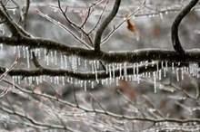 الانجماد-490x380