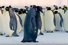 5c6d0d8b95a5974f088b45e0