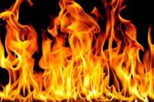 Doc-P-558288-636862501275482226