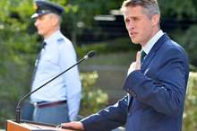 جافين وليامسون