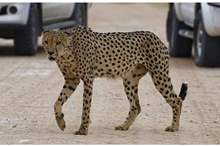 5c5411bed43750f0718b45c3