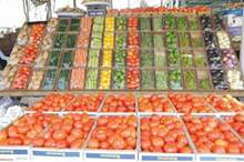 927a302b383bf81db8b748a1549d5408