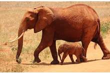 5c530cc595a5978a4e8b45f3