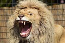 5c6eb1a695a597552f8b4624