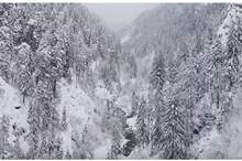 5c6ec53d95a597964c8b4583