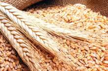 e8f288f29cce4c21271d64e98d3c1038