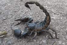 5c6d738395a597a74c8b45cc