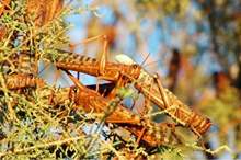 12014130931544813936