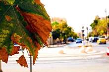 2201912233430852057541